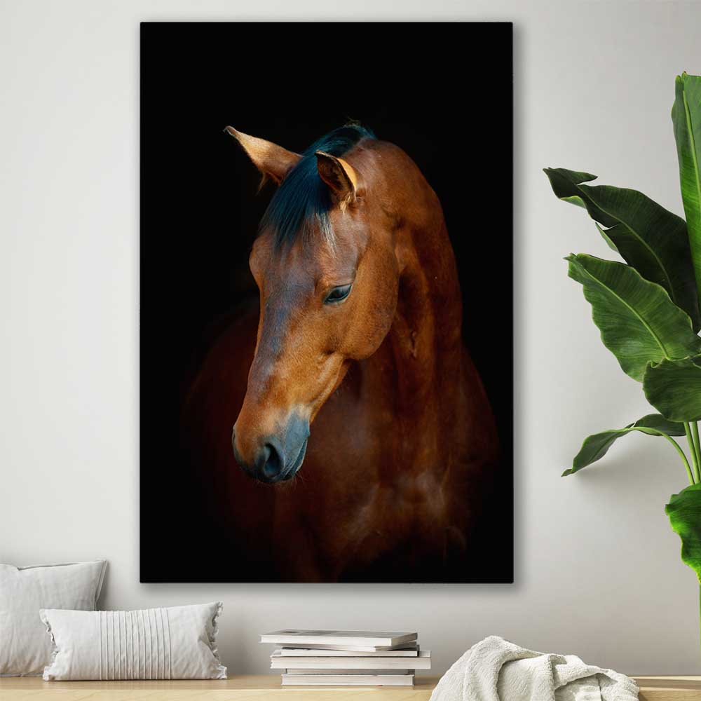 Animal wall art and canvas prints of Chestnut Horse Portrait on a stretched canvas displayed in a room