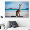Animal wall art and canvas prints of Coastal Kangaroo Gaze on a stretched canvas displayed in a room