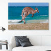 Animal wall art and canvas prints of Coastal Kangaroo Leap on a stretched canvas displayed in a room