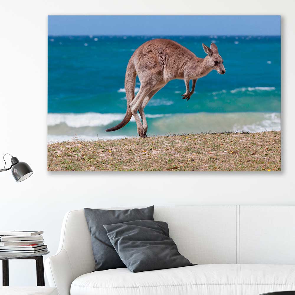 Animal wall art and canvas prints of Coastal Kangaroo Leap on a stretched canvas displayed in a room