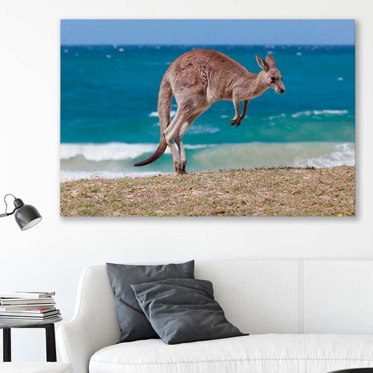 Animal wall art and canvas prints of Coastal Kangaroo Leap on a stretched canvas displayed in a room