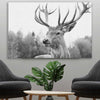 Animal wall art and canvas prints of Deer Focus on a stretched canvas displayed in a room