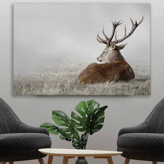 Animal wall art and canvas prints of Deer Solitude on a stretched canvas displayed in a room
