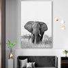 Animal wall art and canvas prints of Elephant Gaze on a stretched canvas displayed in a room