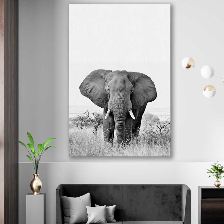 Animal wall art and canvas prints of Elephant Gaze on a stretched canvas displayed in a room