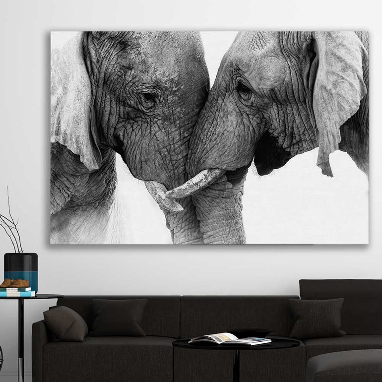 Animal wall art and canvas prints of Elephant Love on a stretched canvas displayed in a room
