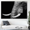 Animal wall art and canvas prints of Elephant Majesty on a stretched canvas displayed in a room