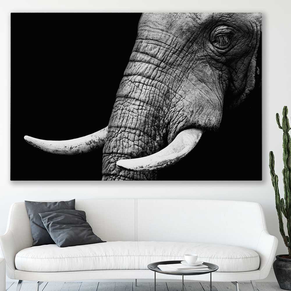 Animal wall art and canvas prints of Elephant Majesty on a stretched canvas displayed in a room