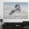 Animal wall art and canvas prints of Free Spirit Horse on a stretched canvas displayed in a room