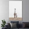 Animal wall art and canvas prints of Giraffe Affection on a stretched canvas displayed in a room