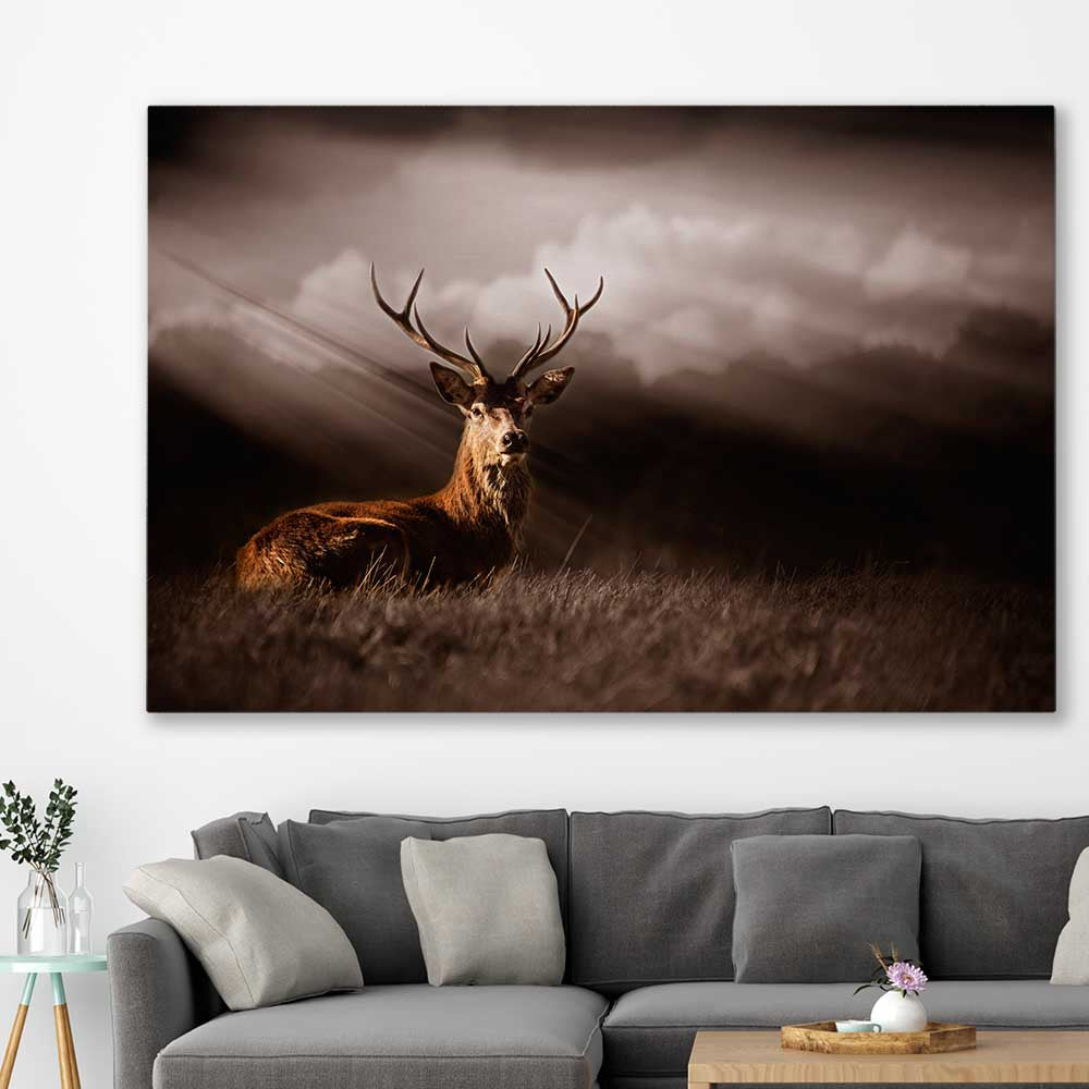 Animal wall art and canvas prints of Glowing Deer on a stretched canvas displayed in a room