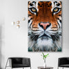 Animal wall art and canvas prints of Golden Tiger Gaze on a stretched canvas displayed in a room