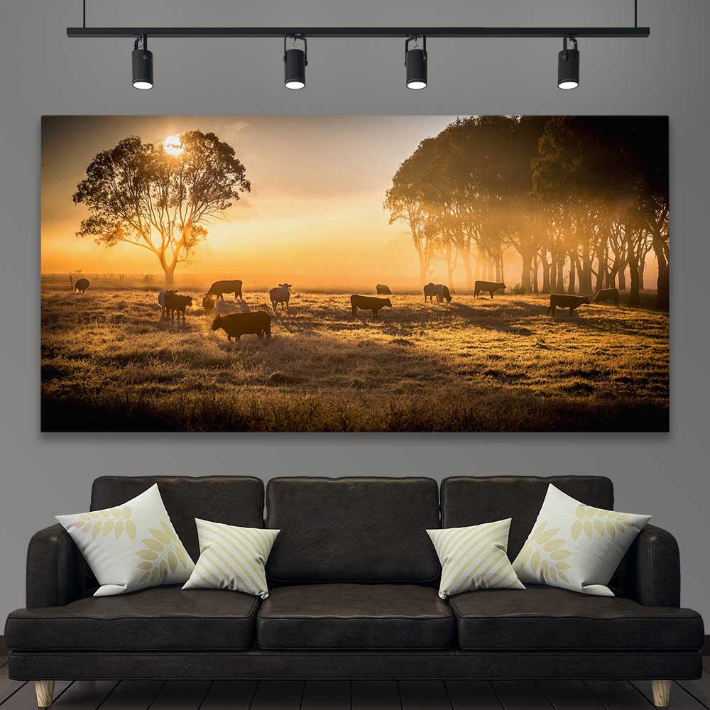 Animal wall art and canvas prints of Grazing Cattle at Sunrise on a stretched canvas displayed in a room