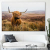 Animal wall art and canvas prints of Highland Horizon on a stretched canvas displayed in a room