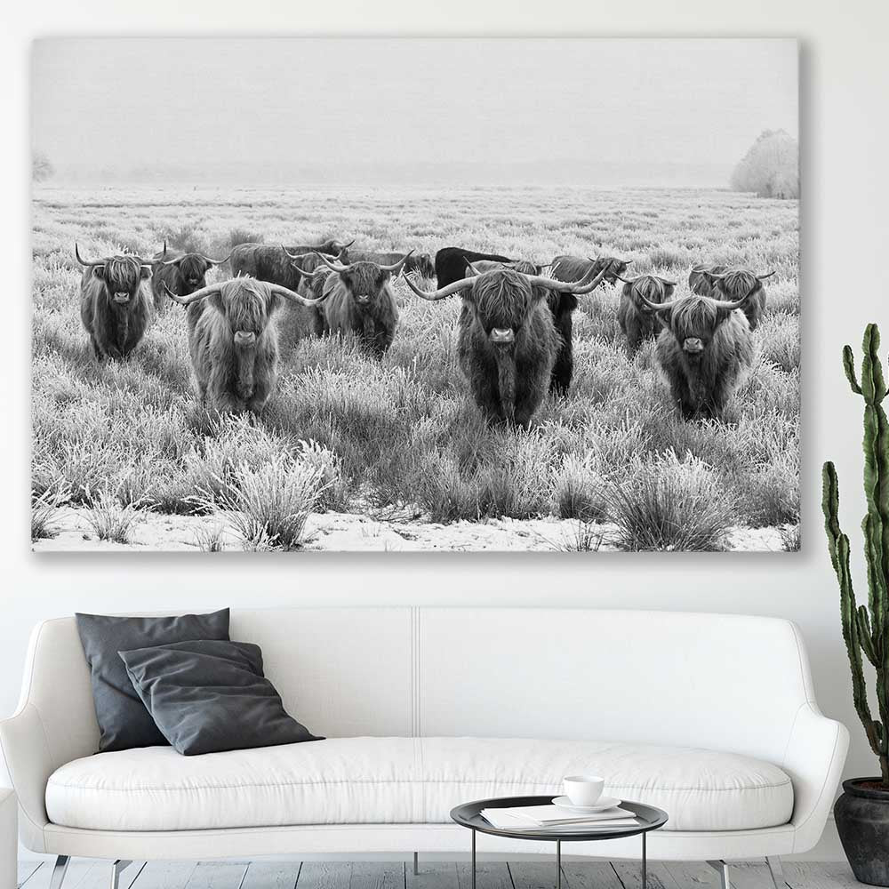 Animal wall art and canvas prints of Highland Monochrome on a stretched canvas displayed in a room