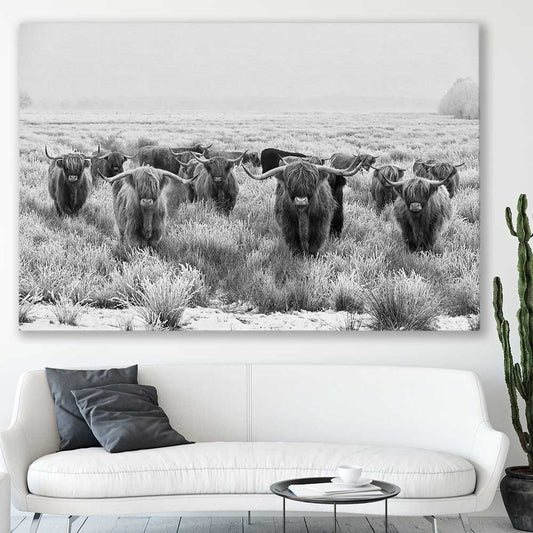 Animal wall art and canvas prints of Highland Monochrome on a stretched canvas displayed in a room