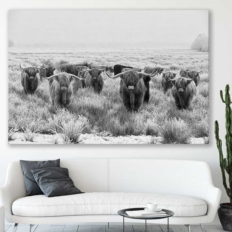 Animal wall art and canvas prints of Highland Monochrome on a stretched canvas displayed in a room