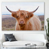 Animal wall art and canvas prints of Highland Wanderer on a stretched canvas displayed in a room