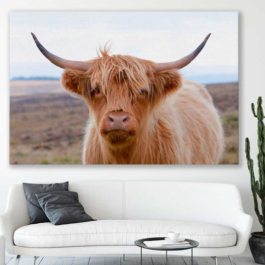Animal wall art and canvas prints of Highland Wanderer on a stretched canvas displayed in a room