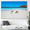 Animal wall art and canvas prints of Kangaroo Beach Couple on a stretched canvas displayed in a room