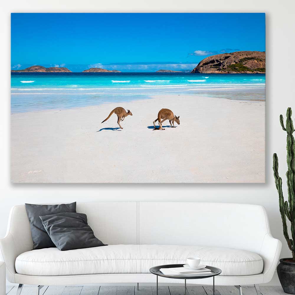 Animal wall art and canvas prints of Kangaroo Beach Couple on a stretched canvas displayed in a room