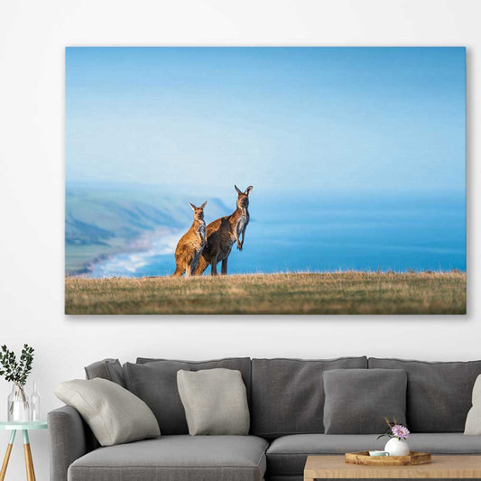 Animal wall art and canvas prints of Kangaroo Coastal Vista on a stretched canvas displayed in a room