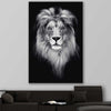 Animal wall art and canvas prints of Lion Gaze on a stretched canvas displayed in a room