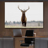 Animal wall art and canvas prints of Lone Deer on a stretched canvas displayed in a room