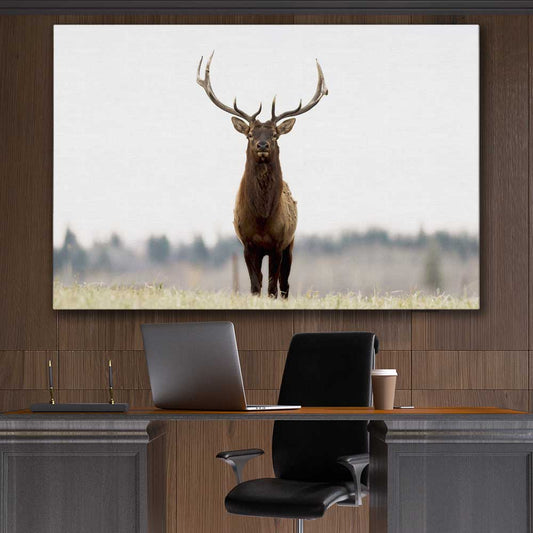 Animal wall art and canvas prints of Lone Deer on a stretched canvas displayed in a room