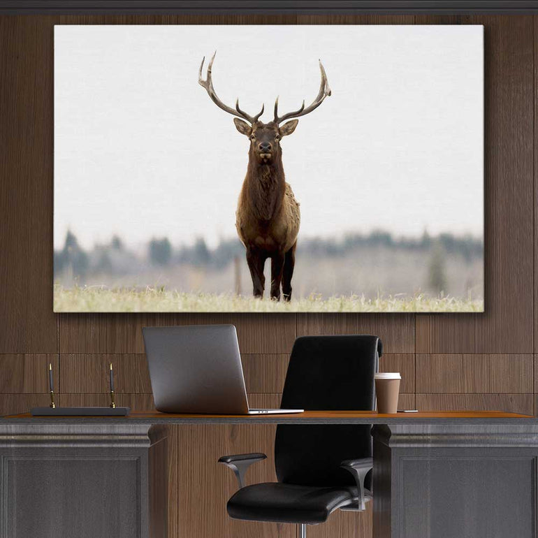 Animal wall art and canvas prints of Lone Deer on a stretched canvas displayed in a room