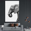 Animal wall art and canvas prints of Lone Elephant on a stretched canvas displayed in a room