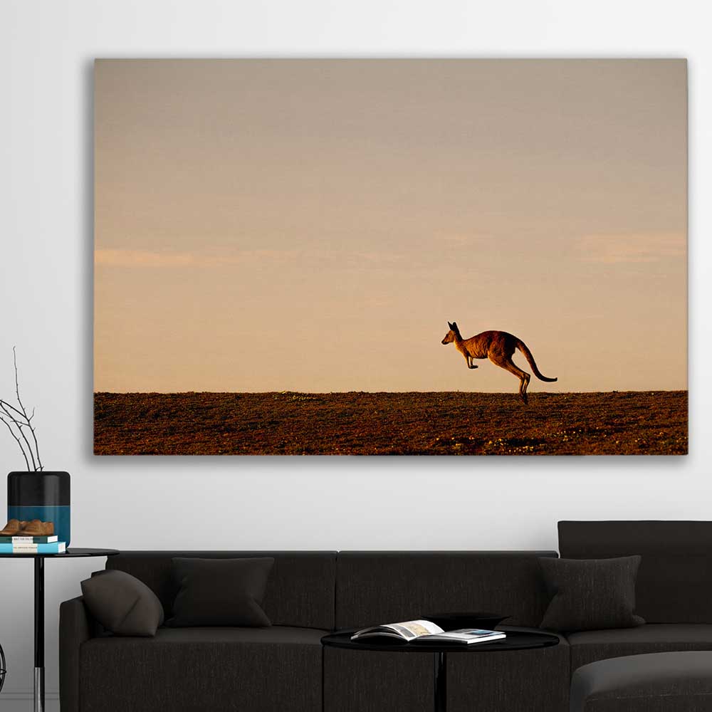 Animal wall art and canvas prints of Lone Kangaroo Plains on a stretched canvas displayed in a room