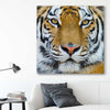 Animal wall art and canvas prints of Majestic Tiger Portrait on a stretched canvas displayed in a room