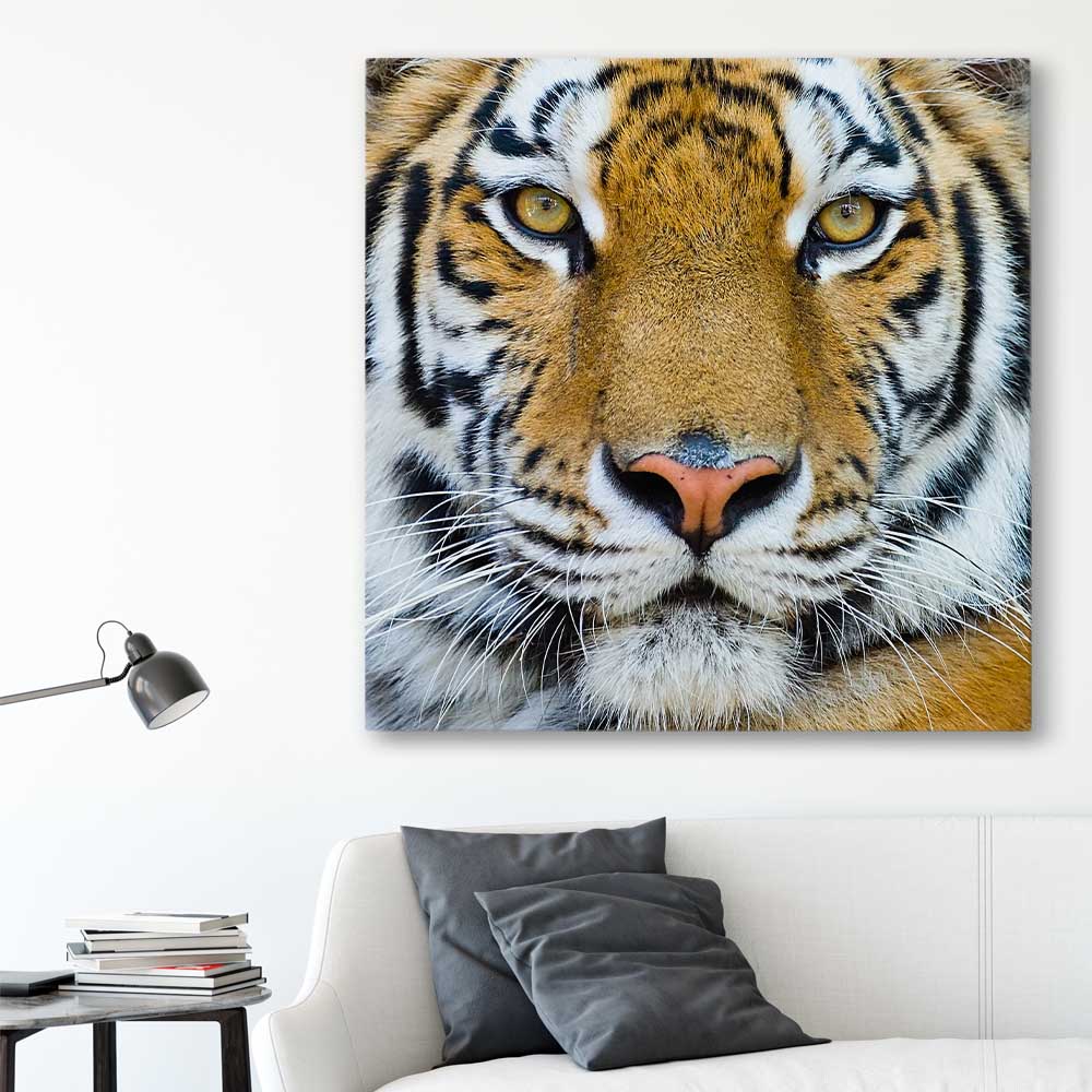 Animal wall art and canvas prints of Majestic Tiger Portrait on a stretched canvas displayed in a room