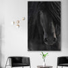 Animal wall art and canvas prints of Midnight Friesian Horse on a stretched canvas displayed in a room