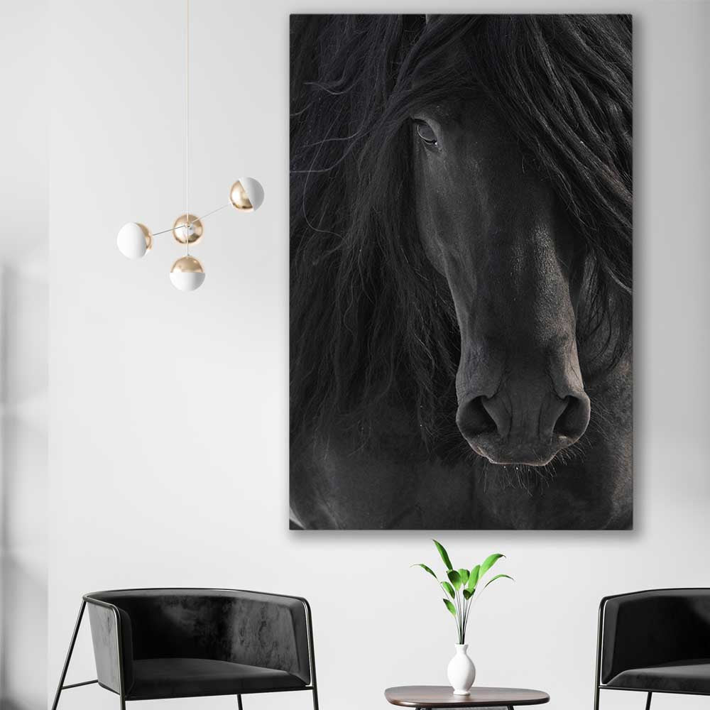 Animal wall art and canvas prints of Midnight Friesian Horse on a stretched canvas displayed in a room