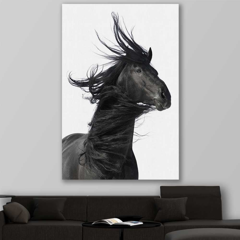 Animal wall art and canvas prints of Midnight Horse on a stretched canvas displayed in a room