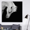 Animal wall art and canvas prints of Midnight White Horse on a stretched canvas displayed in a room