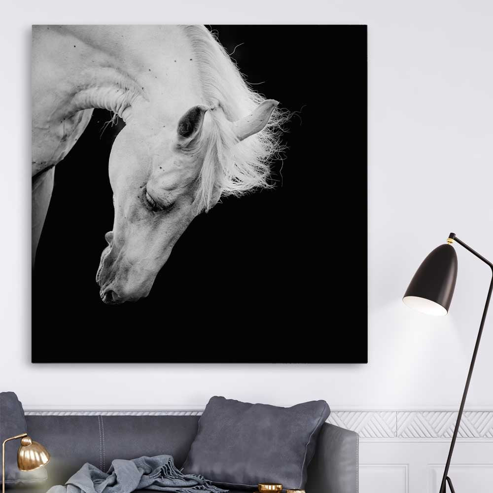 Animal wall art and canvas prints of Midnight White Horse on a stretched canvas displayed in a room