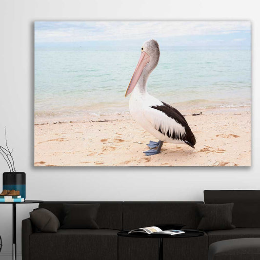 Animal wall art and canvas prints of Monkey Mia Pelican on a stretched canvas displayed in a room