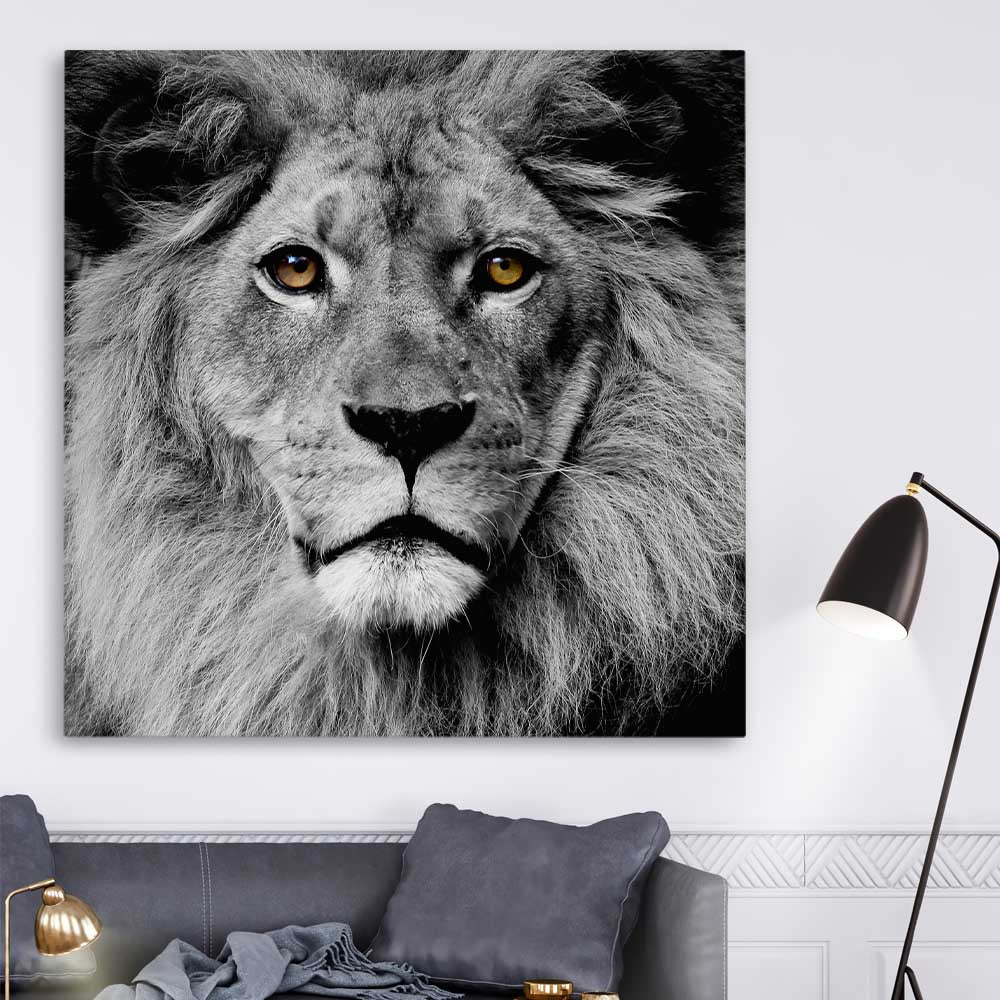 Animal wall art and canvas prints of Noble Lion Portrait on a stretched canvas displayed in a room