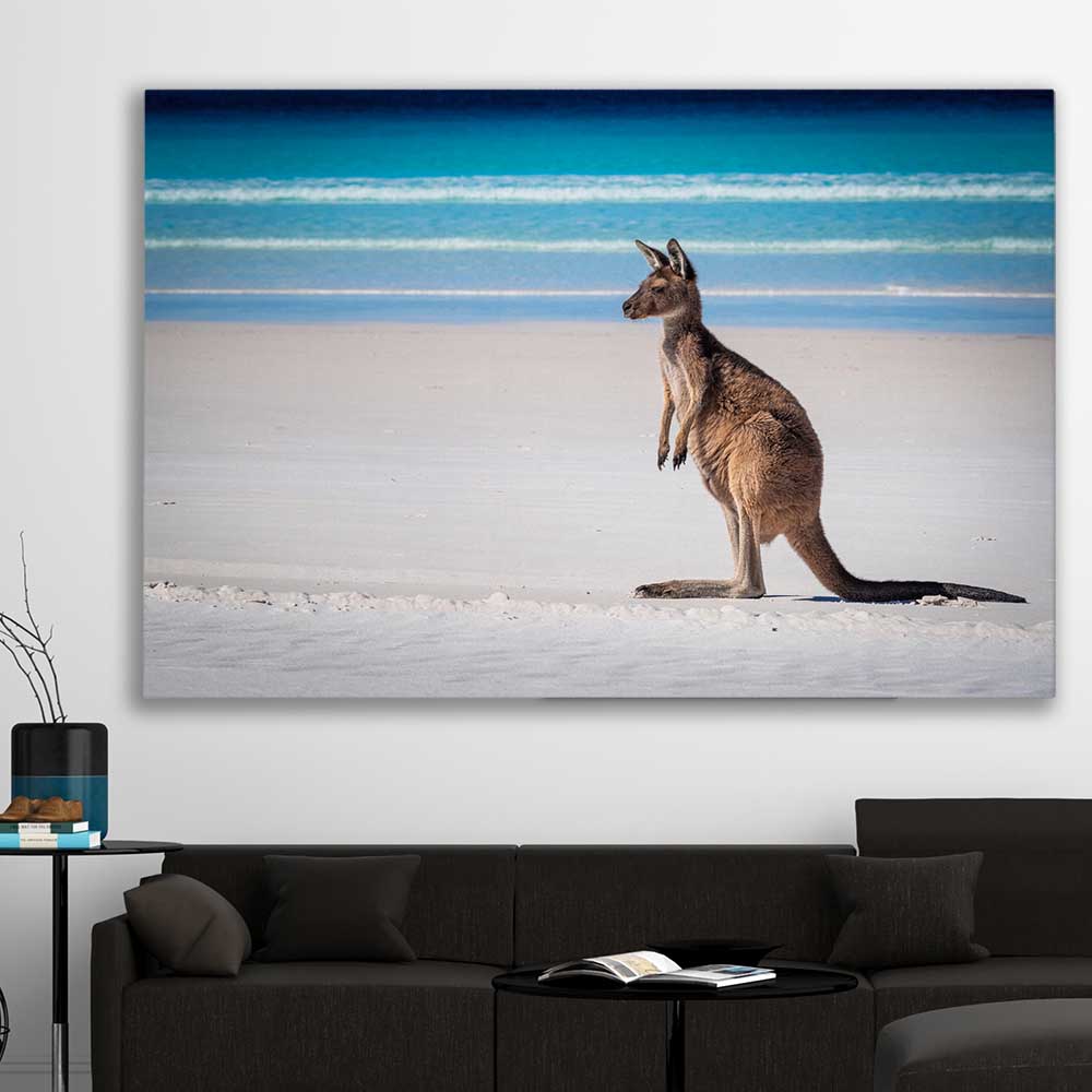 Animal wall art and canvas prints of Ocean Kangaroo Edge on a stretched canvas displayed in a room