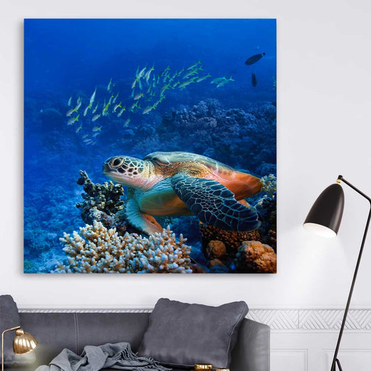 Animal wall art and canvas prints of Ocean Turtle Reef on a stretched canvas displayed in a room