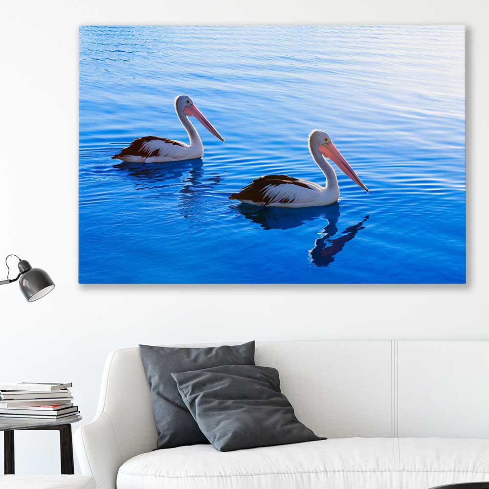 Animal wall art and canvas prints of Pelican Blue Waters on a stretched canvas displayed in a room