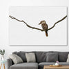 Animal wall art and canvas prints of Perched Kookaburra on a stretched canvas displayed in a room