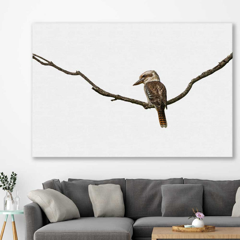 Animal wall art and canvas prints of Perched Kookaburra on a stretched canvas displayed in a roomcanvas in a styled room