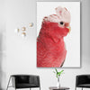 Animal wall art and canvas prints of Pink Cockatoo on a stretched canvas displayed in a room