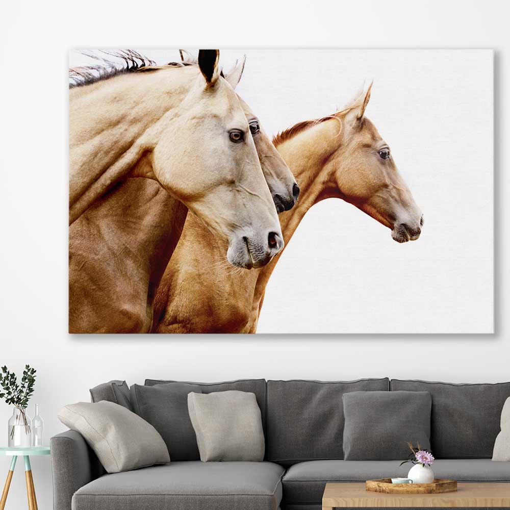 Animal wall art and canvas prints of Purebred Horse Pair on a stretched canvas displayed in a room
