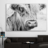 Animal wall art and canvas prints of Quiet Highland Cow on a stretched canvas displayed in a room