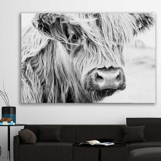 Animal wall art and canvas prints of Quiet Highland Cow on a stretched canvas displayed in a room